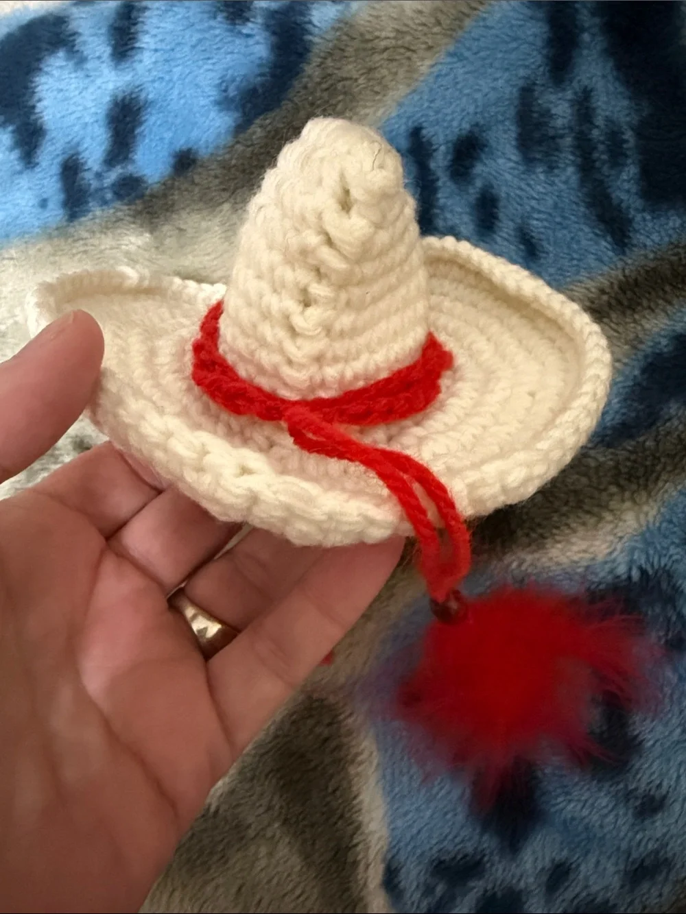 Handmade Crocheted White Cowboy Hat with Red Accent for small dog